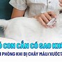 Bị Chó Cắn Nhẹ Có Cần Chích Ngừa Không