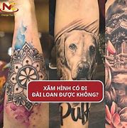 Có Hình Xăm Có Đi Du Học Đài Loan Được Không Ạ