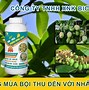 Công Ty Tnhh Xnk Khang Nông Sản Việt Nam