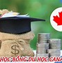 Du Học Canada Để Định Cư Không Visa Được Không