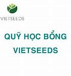 Học Bổng Vietseeds 2022 Là Gì ؟ * *