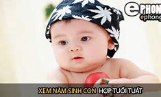 Tuổi Tuất Nên Sinh Con Năm Nào