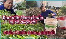 Vương Lan Cuộc Sống Trung Quốc Net Worth